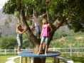 /album/passeio-de-mulheres-2008/tn-fotos-433-jpg/